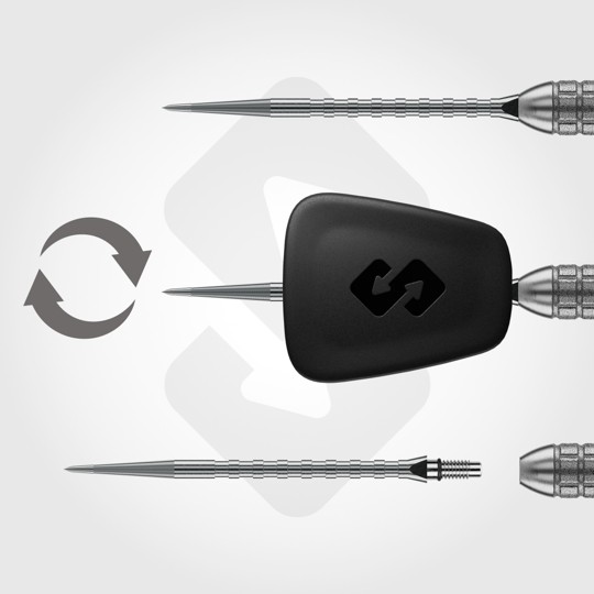 Gian van Veen W Max 90% Switch Point Winmau - Steeldart